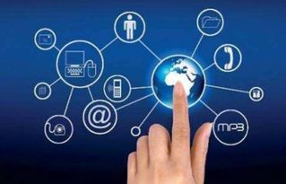 華登區(qū)塊狗溜狗軟件系統(tǒng)開發(fā)與網(wǎng)絡(luò)技術(shù)創(chuàng)新