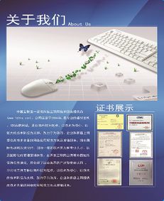 上海聯(lián)啟網(wǎng)絡(luò)科技 引領(lǐng)未來(lái)的網(wǎng)絡(luò)技術(shù)開(kāi)發(fā)專家